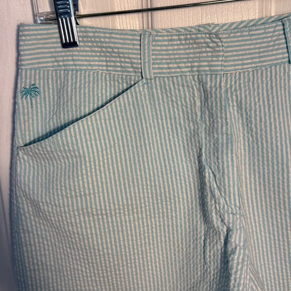 Lilly Pulitzer Women's Light aqua Striped Shorts - Picture 2 of 4